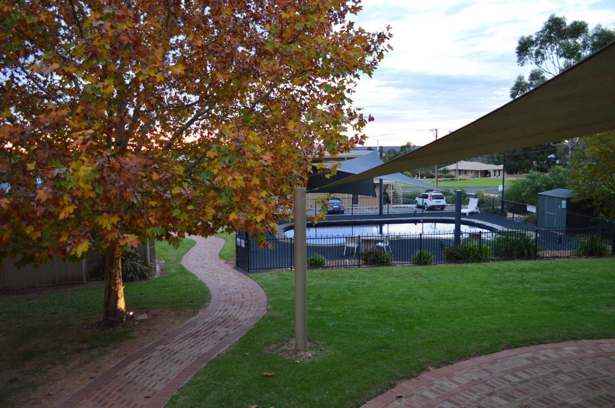 洛克斯顿社区汽车旅馆酒店 Loxton 外观 照片